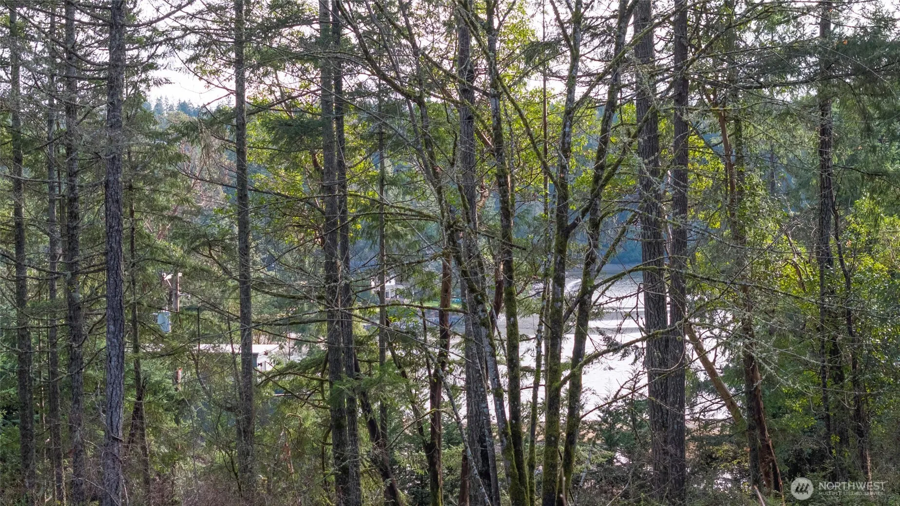 Property photo for 11515 189 Avenue Nw, Gig Harbor photo 4