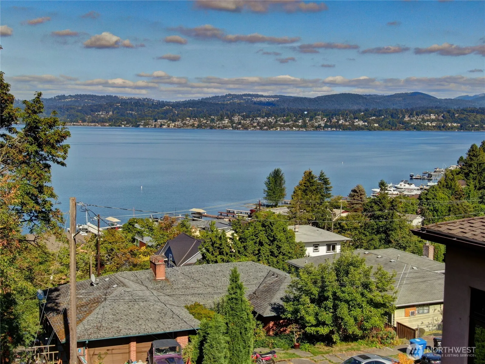 Property photo for 10045 Arrowsmith Avenue S, Seattle photo 4