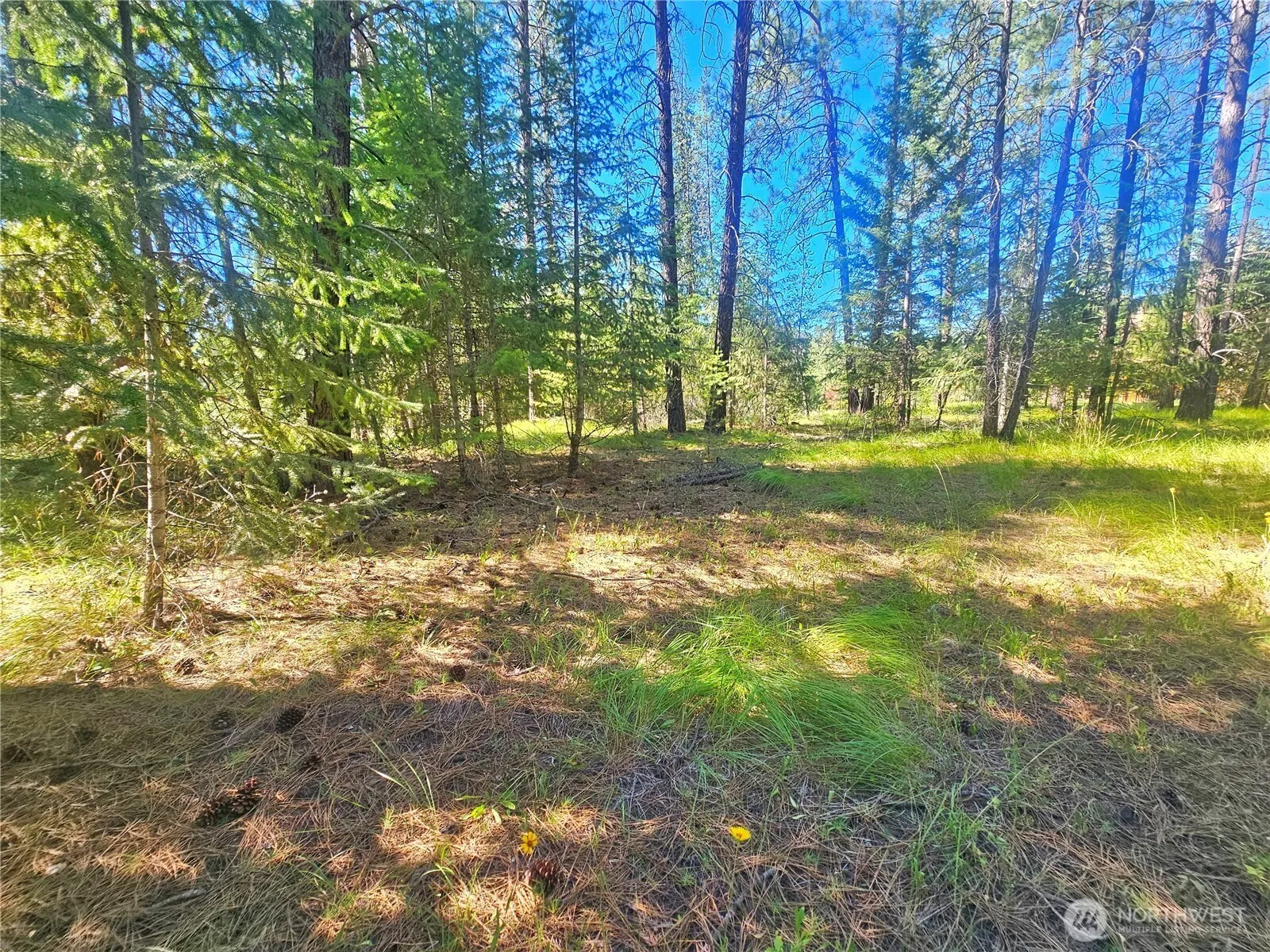 Property photo for 270 Eagle Dr, Chewelah
