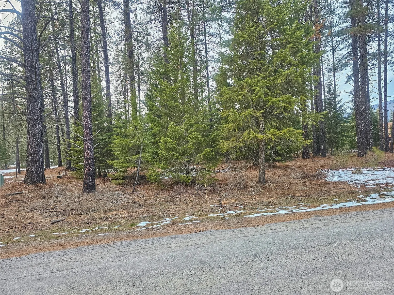 Property photo for 270 Eagle Dr, Chewelah