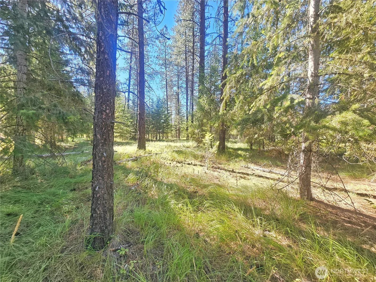 Property photo for 270 Eagle Dr, Chewelah photo 5