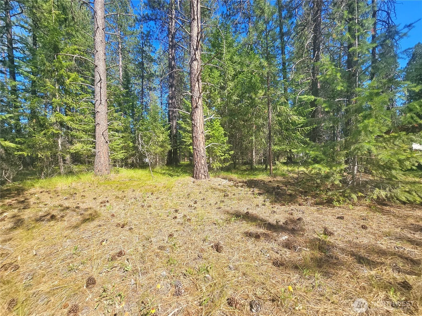 Property photo for 270 Eagle Dr, Chewelah photo 3