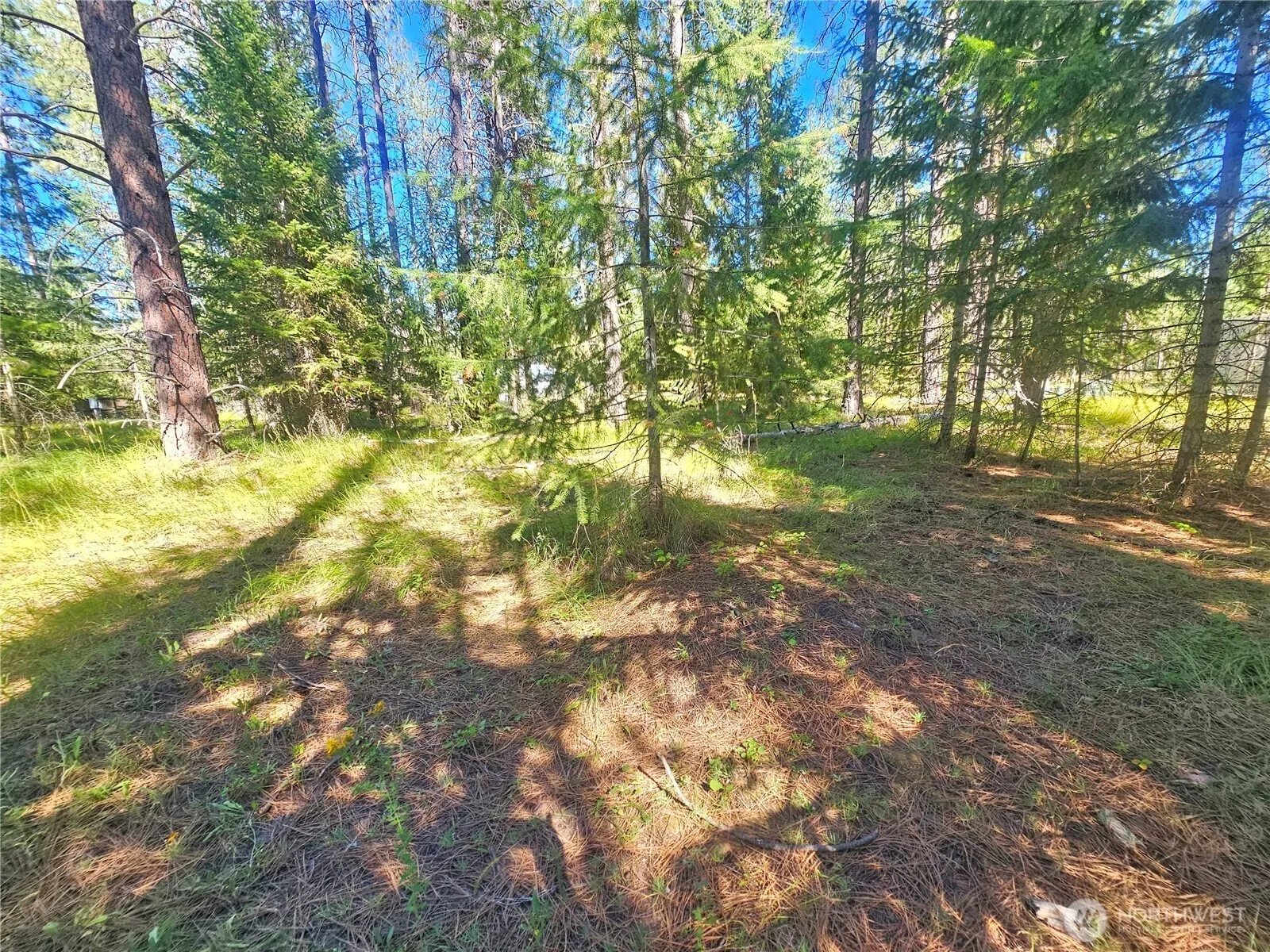 Property photo for 270 Eagle Dr, Chewelah photo 2
