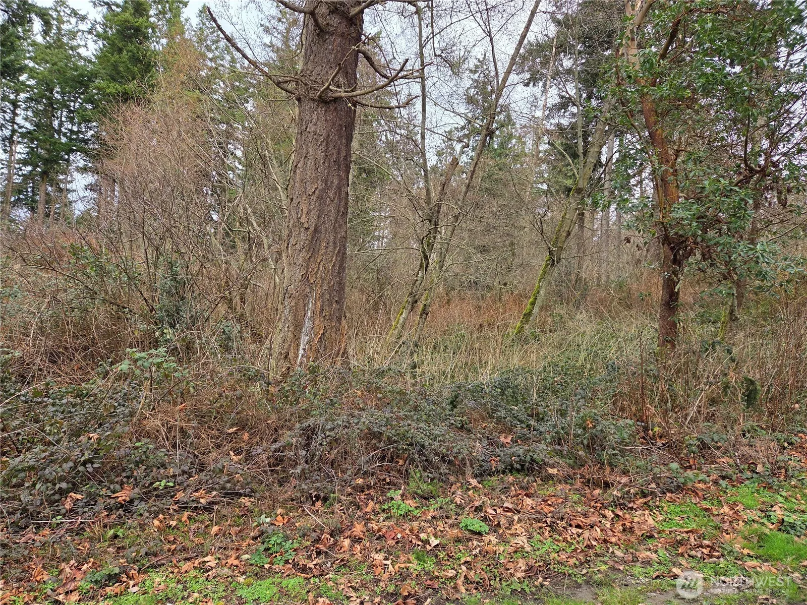 Property photo for 103 B Whidbey Island Drive, Hat Island photo 3