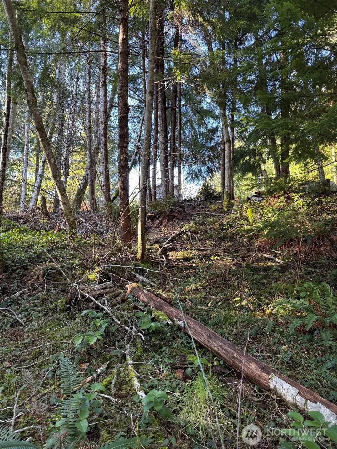 Property photo for 0 Ne Lake Christine Road, Tahuya photo 3