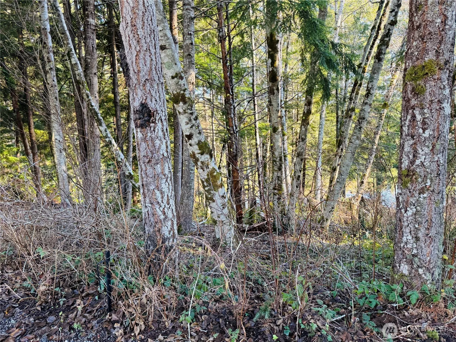 Property photo for 0 Ne Lake Christine Road, Tahuya photo 4