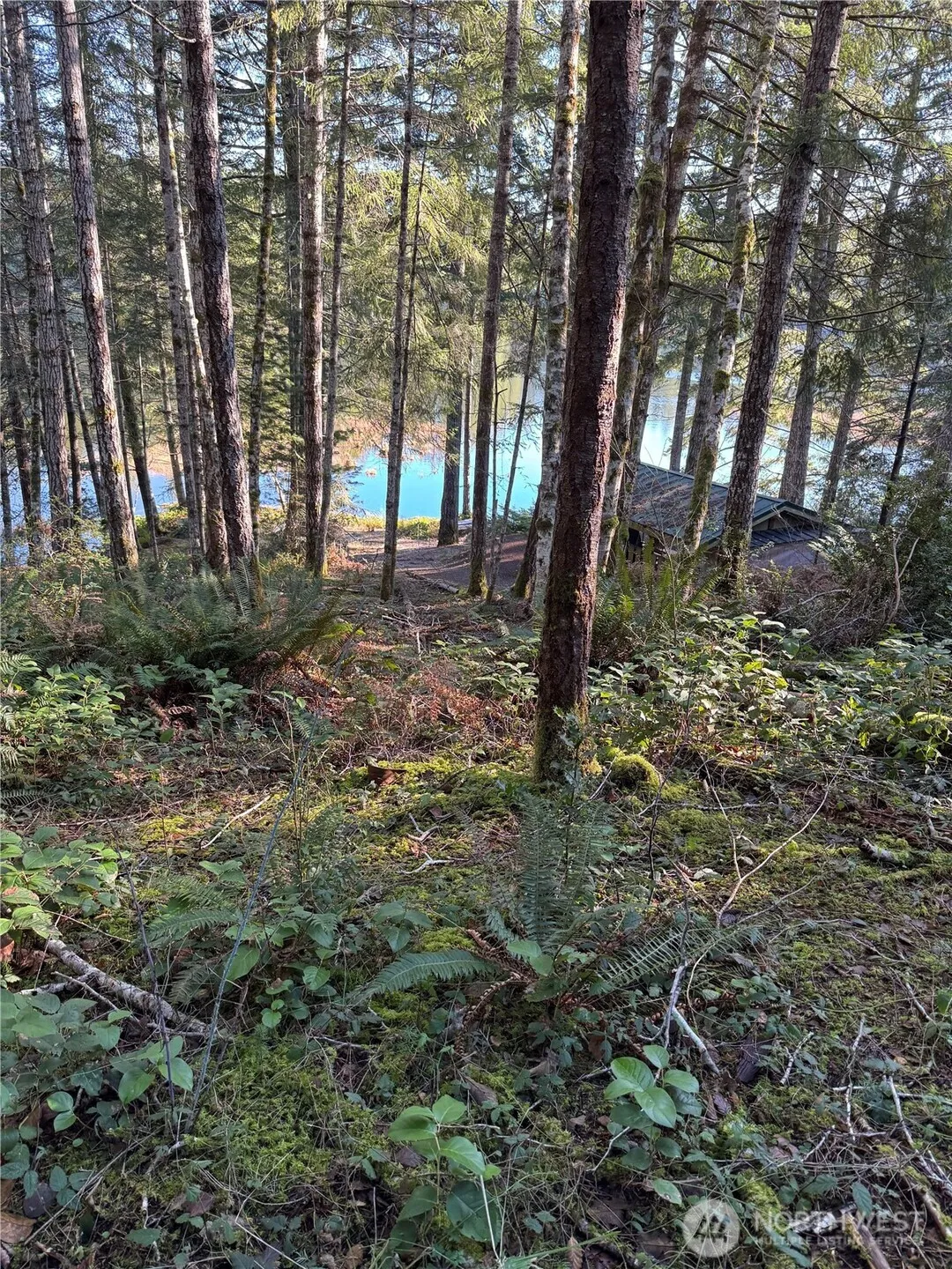 Property photo for 0 Ne Lake Christine Road, Tahuya photo 5