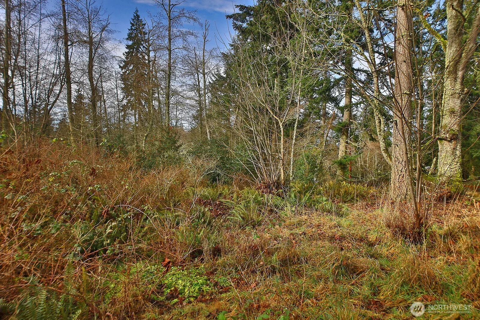 Property photo for 0 Goss Lake Road, Freeland