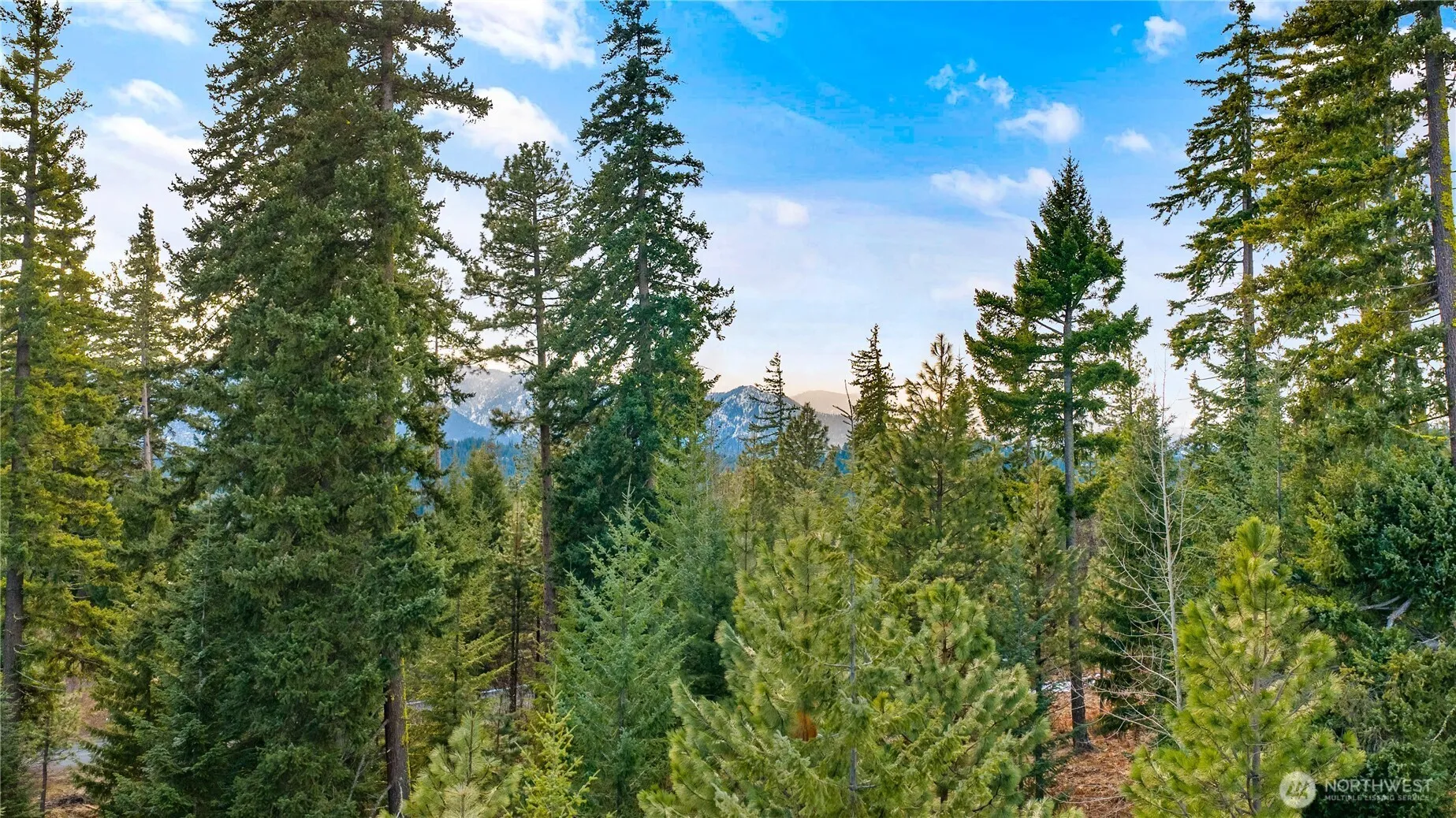 Property photo for 11 Red Sky Way, Cle Elum photo 2