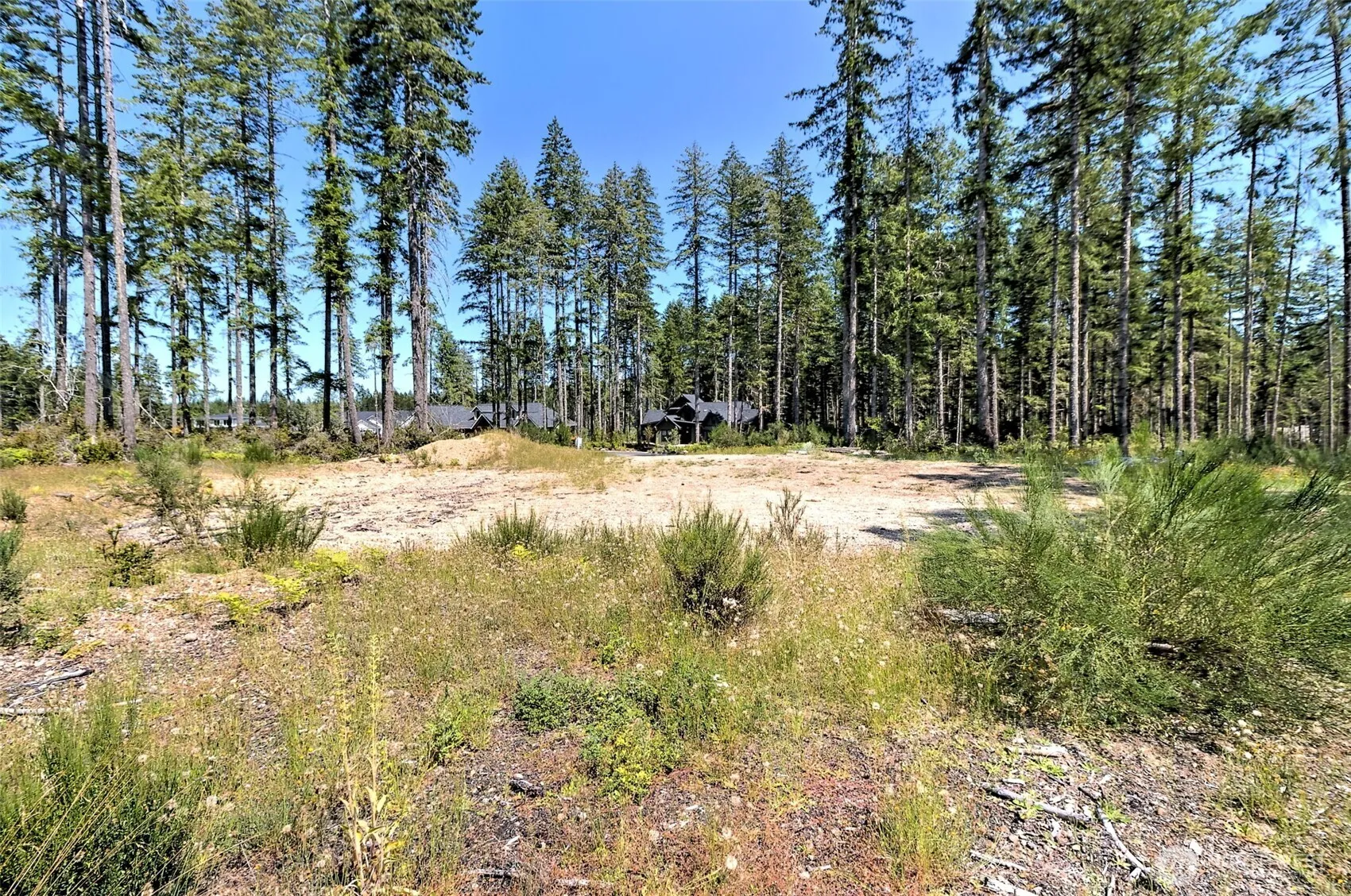 Property photo for 701 W Clear Lake Drive, Shelton photo 5