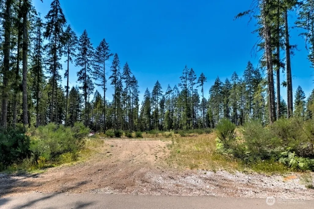 Property photo for 701 W Clear Lake Drive, Shelton photo 4