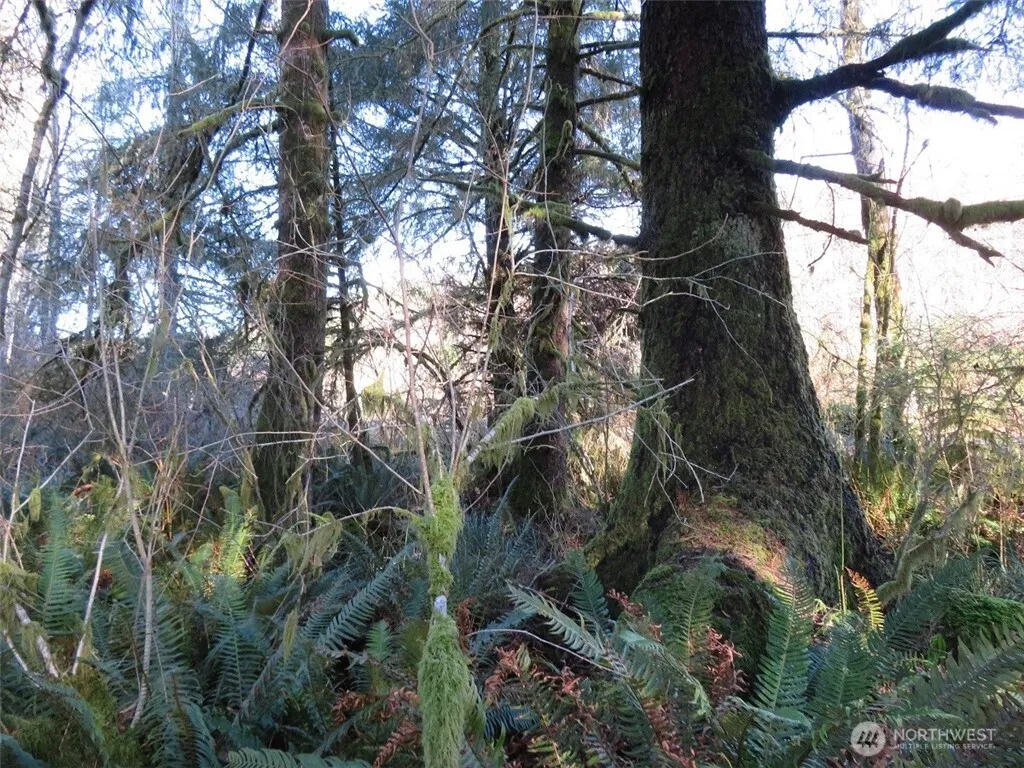 Property photo for 1478 Xxx E Hoquiam Road, Hoquiam photo 3
