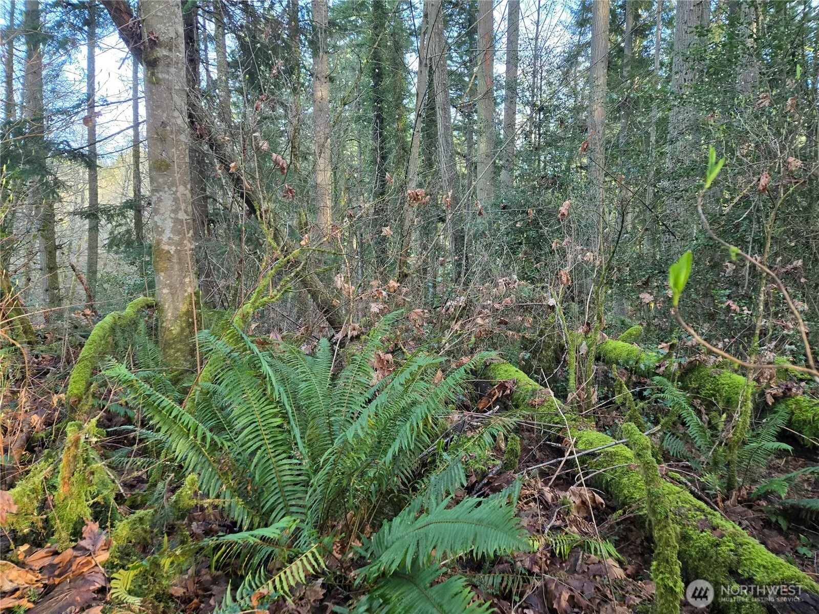 Property photo for 233 Xx State Highway 3 Nw, Poulsbo photo 3