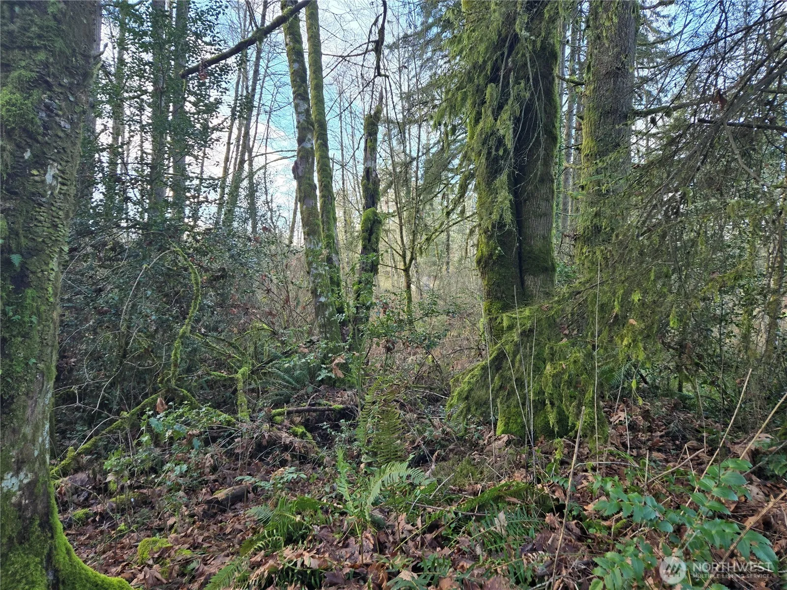 Property photo for 233 Xx State Highway 3 Nw, Poulsbo photo 2