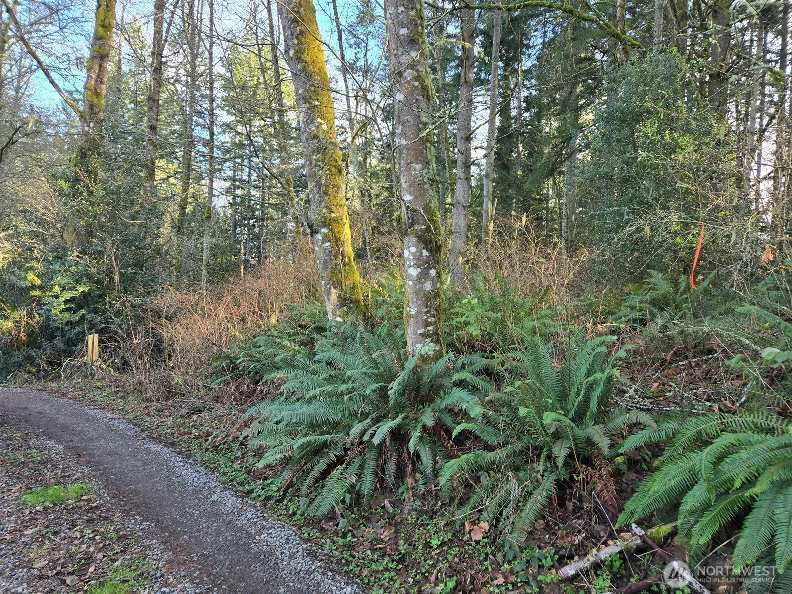 Property photo for 233 Xx State Highway 3 Nw, Poulsbo photo 4