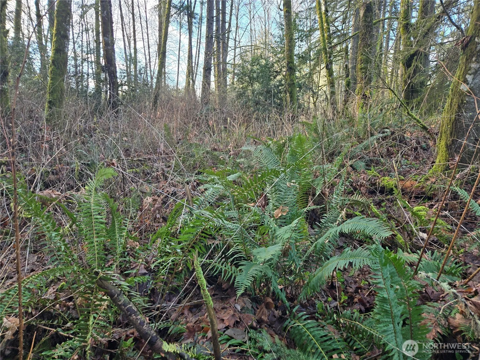 Property photo for 233 Xx State Highway 3 Nw, Poulsbo