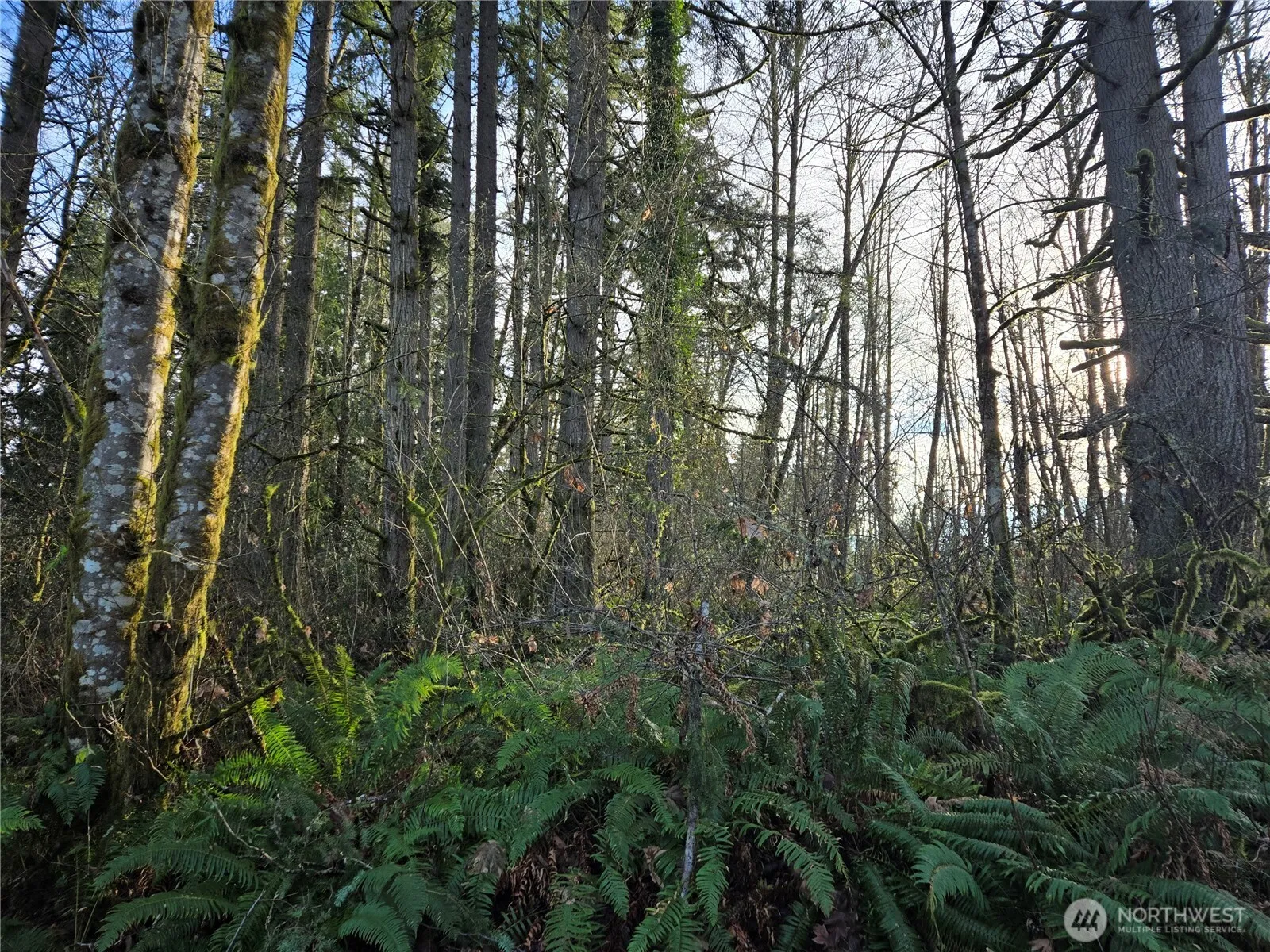 Property photo for 233 Xx State Highway 3 Nw, Poulsbo photo 5
