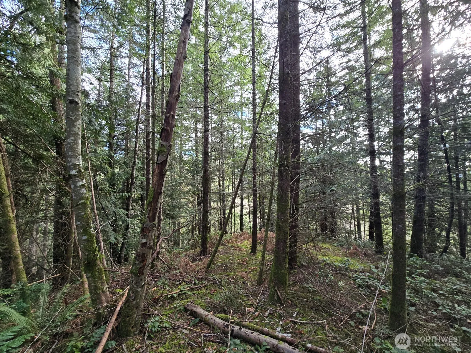 Property photo for 216 Xx Bond Road Ne, Poulsbo photo 2