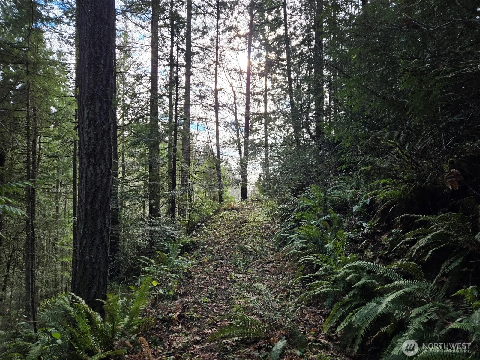 Property photo for 216 Xx Bond Road Ne, Poulsbo