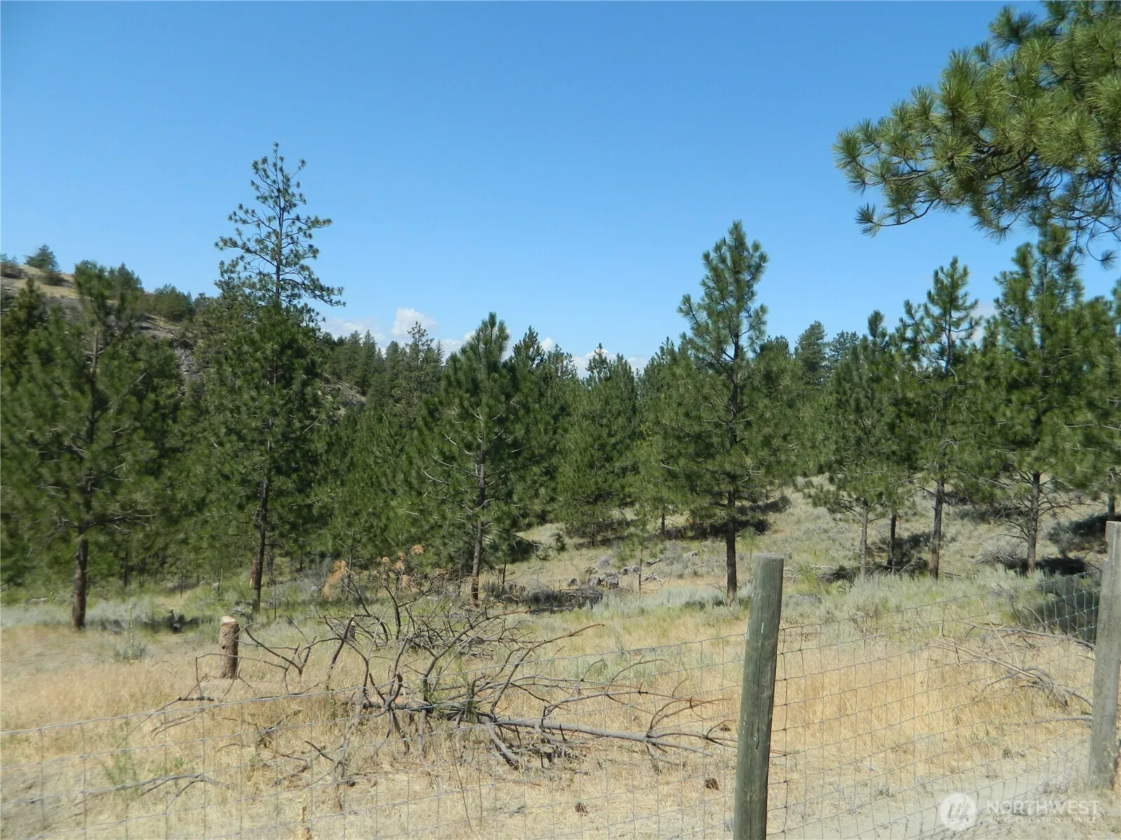 Property photo for 198 B Antwyne Lane, Tonasket photo 4