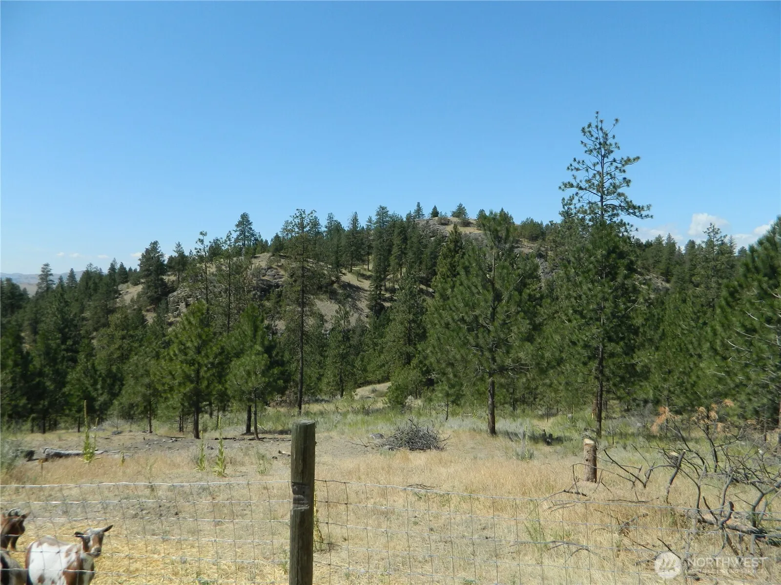 Property photo for 198 B Antwyne Lane, Tonasket photo 3