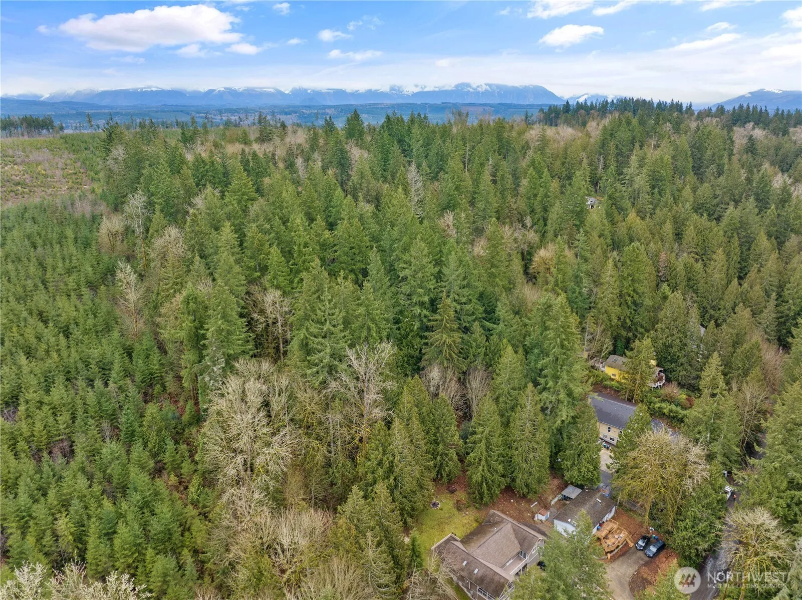 Property photo for 3866 E Ames Lake Drive Ne, Redmond photo 4