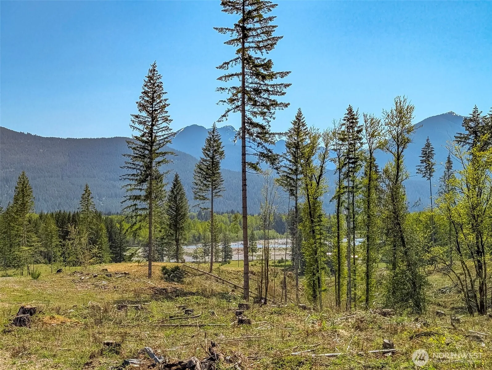 Property photo for 0 Craig Rd #lot A1, Packwood