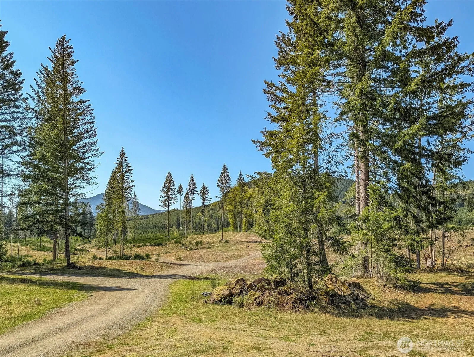 Property photo for 0 Craig Road #lot B3, Packwood