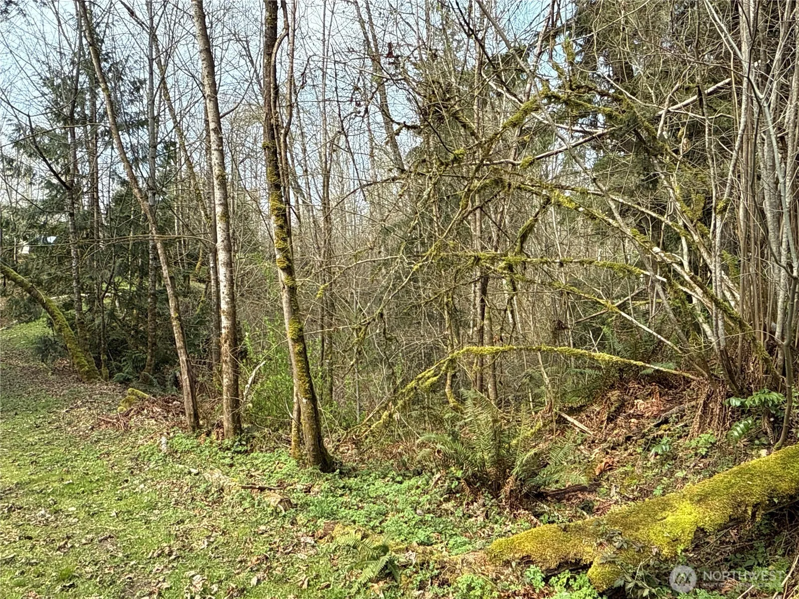 Property photo for 22 Xxx 212th Avenue Se, Maple Valley photo 3