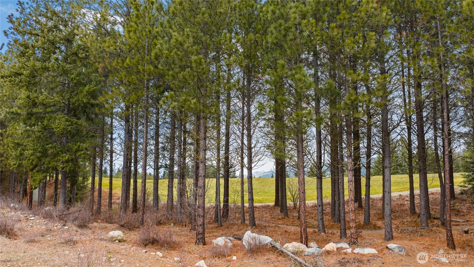 Property photo for 191 White Star Lane, Cle Elum photo 2