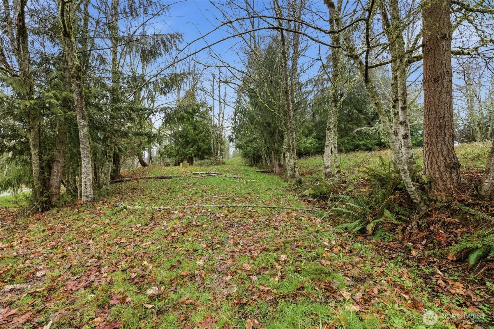 Property photo for 0 Wesner Street, Buckley photo 3