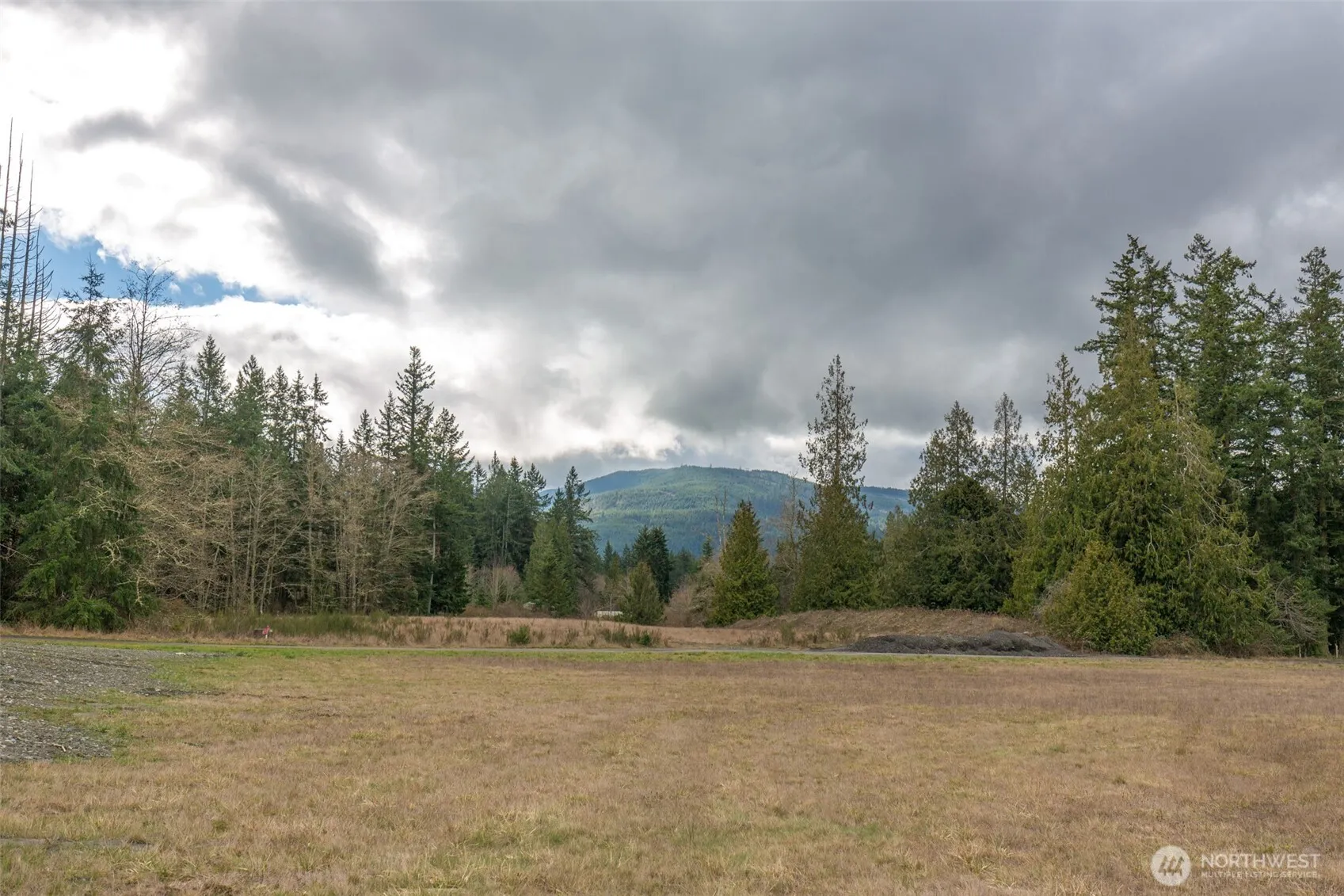 Property photo for 0 Lot 1 Highway 101, Sequim photo 4