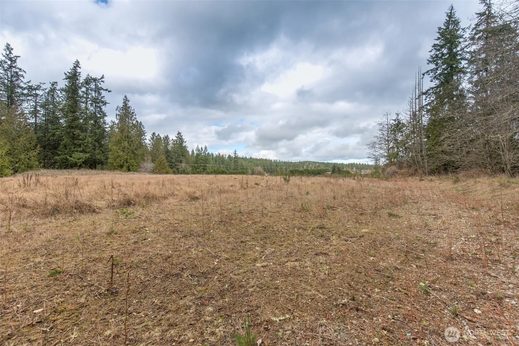 Property photo for 0 Lot 1 Highway 101, Sequim photo 5