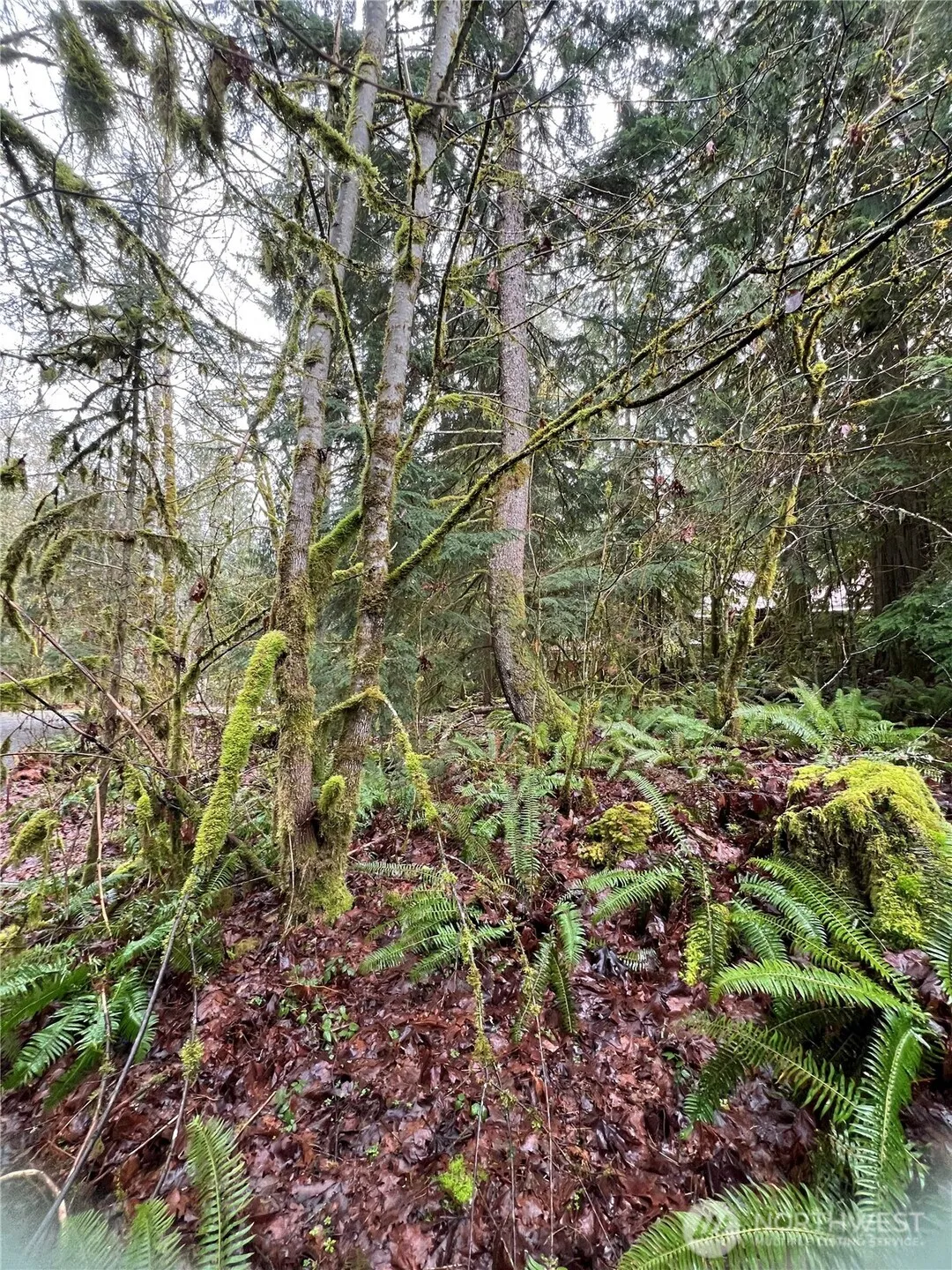 Property photo for 15026 Iceberg Road, Glacier