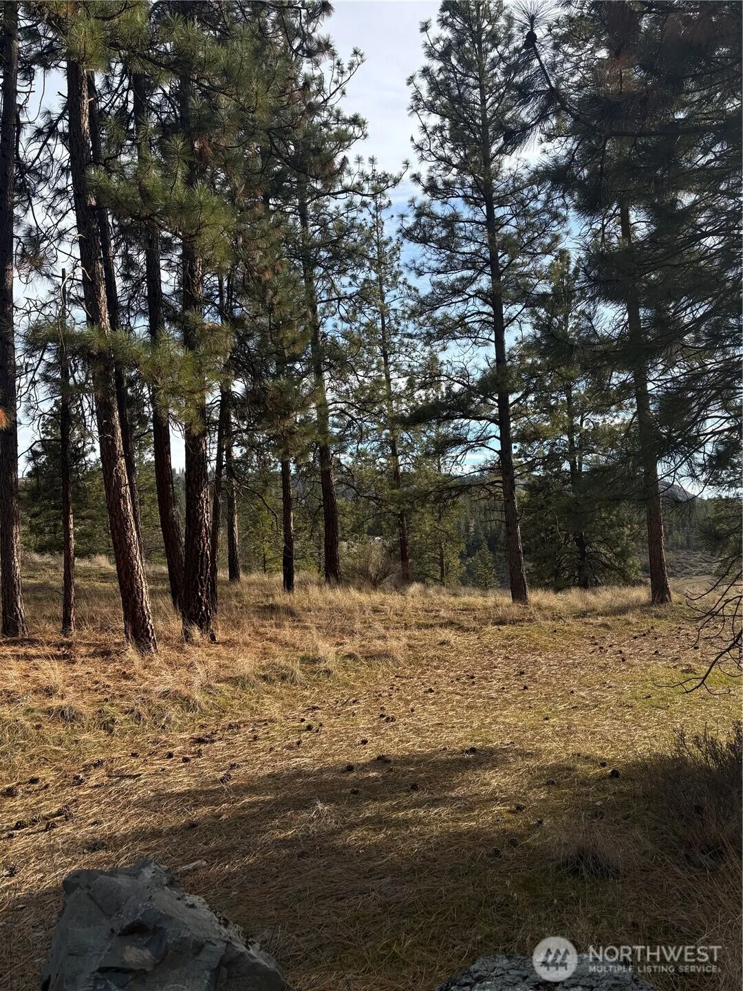 Property photo for 2 Mist Lake Road, Tonasket photo 3