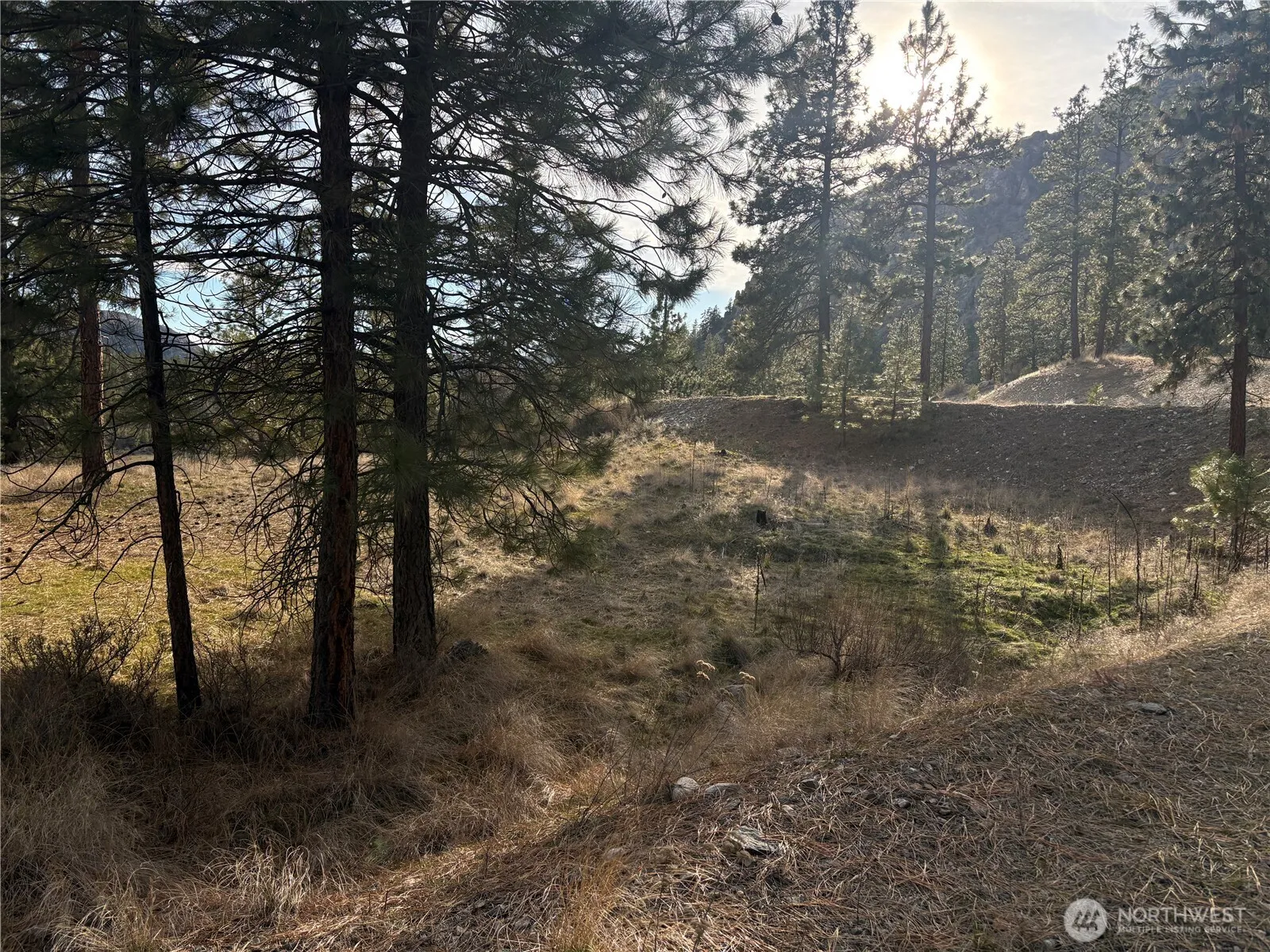 Property photo for 2 Mist Lake Road, Tonasket photo 2