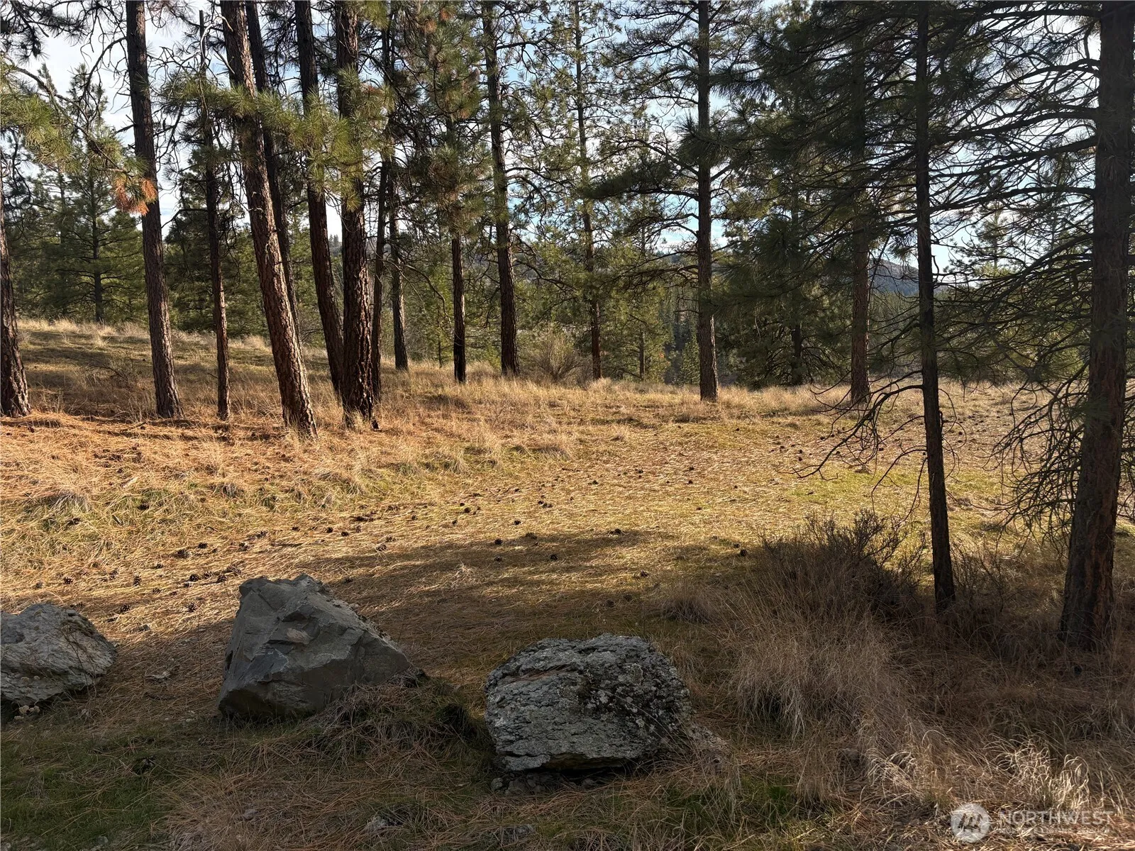 Property photo for 2 Mist Lake Road, Tonasket
