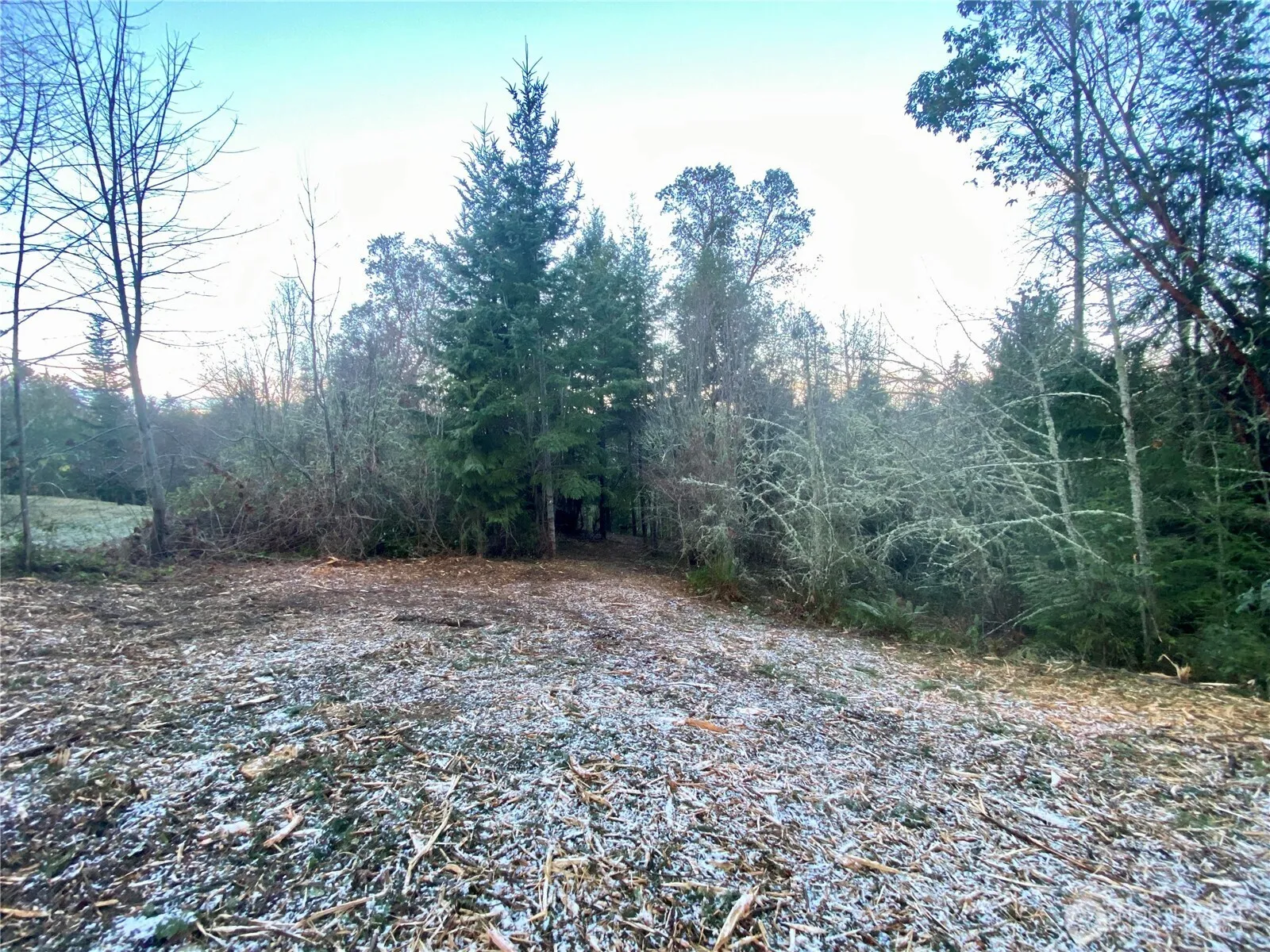 Property photo for 0 Chelsamish Drive, Sequim photo 5