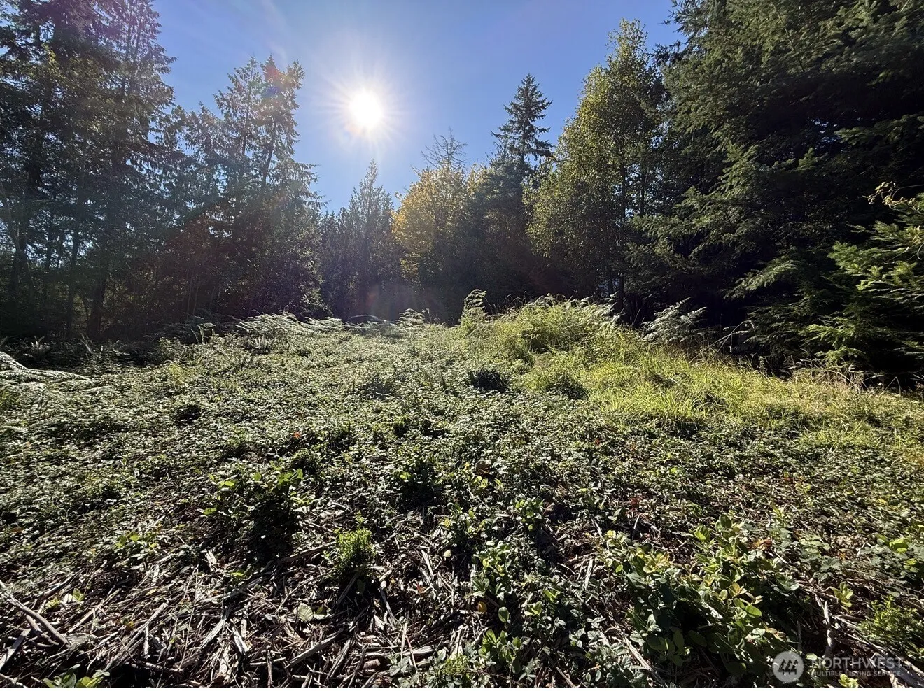 Property photo for 0 Chelsamish Drive, Sequim photo 2