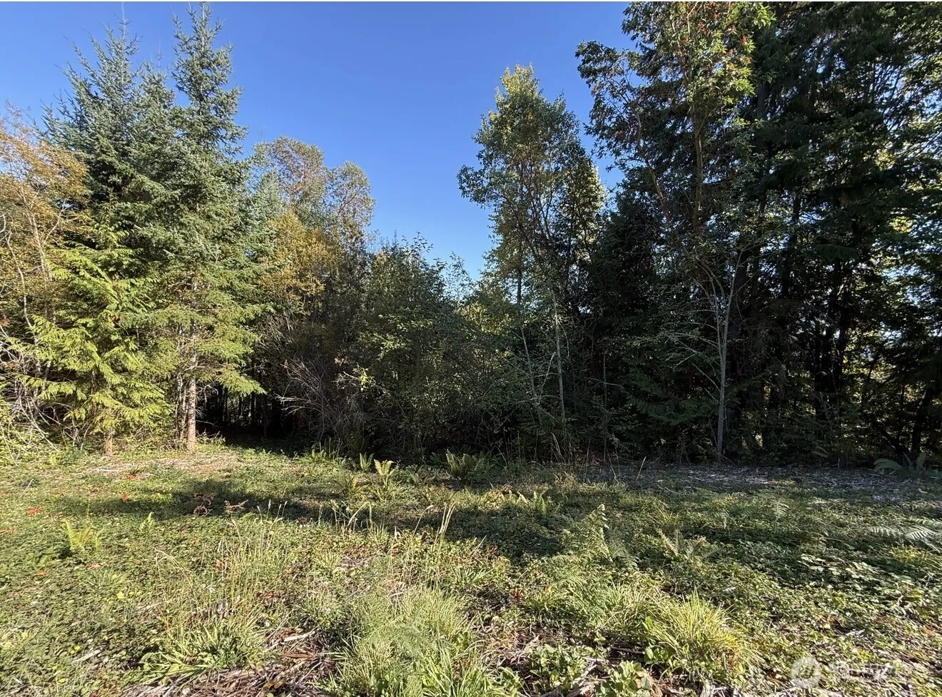 Property photo for 0 Chelsamish Drive, Sequim photo 4