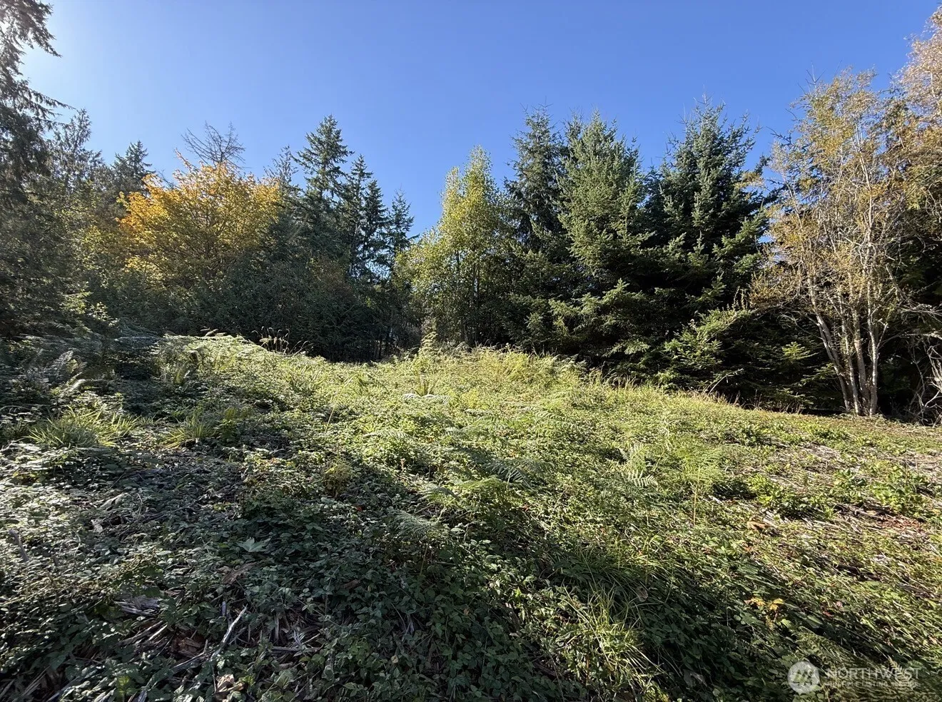 Property photo for 0 Chelsamish Drive, Sequim