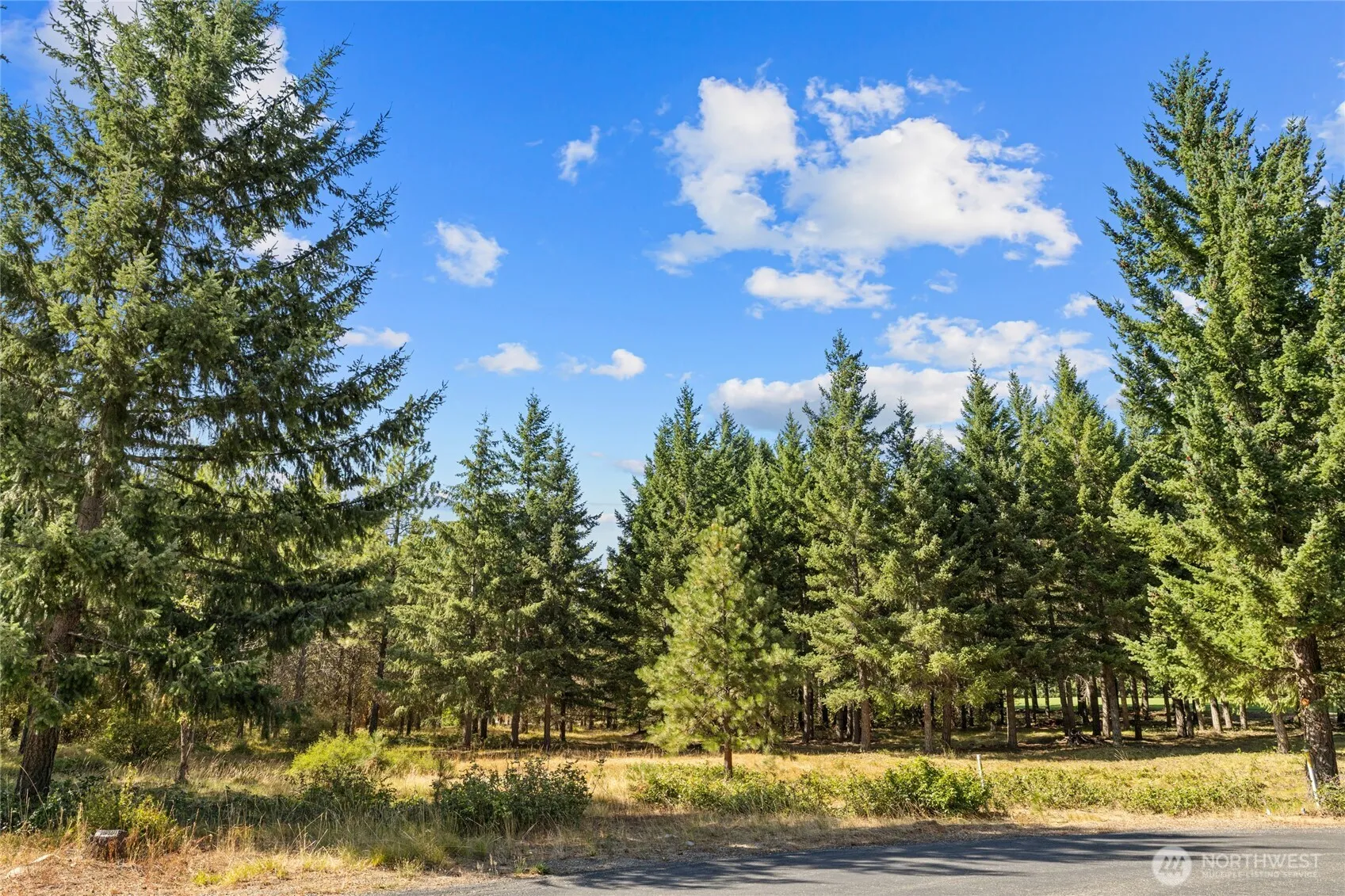 Property photo for 51 Big Bug Lane, Cle Elum