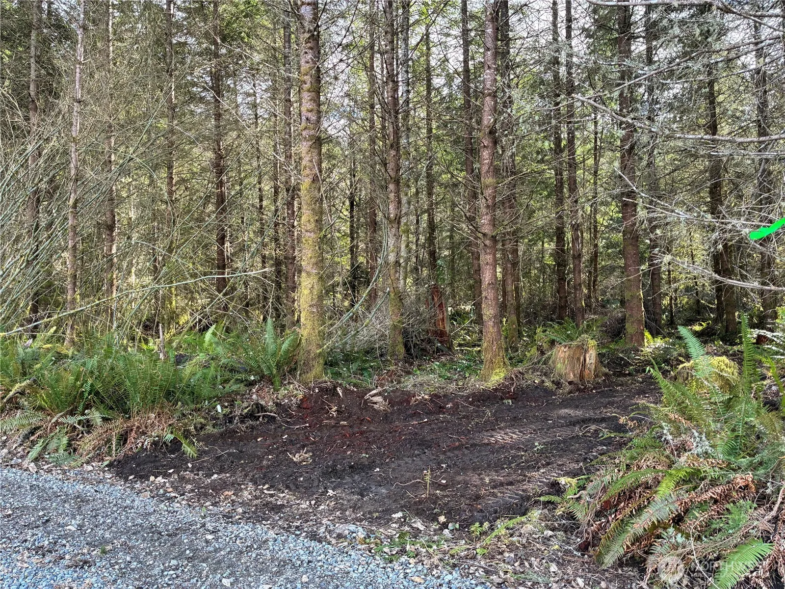 Property photo for 28840 Freelane Road, Carbonado