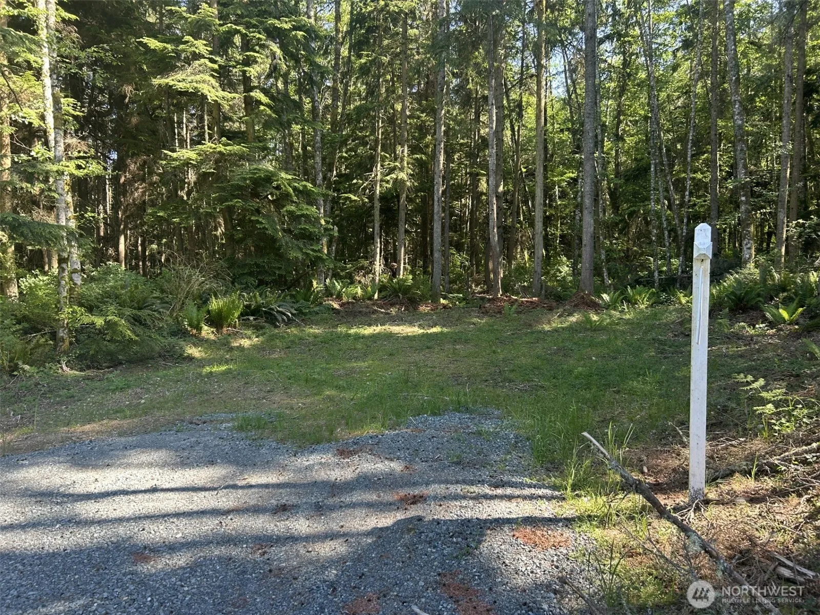 Property photo for 0 Xxx Forest View Lane, Greenbank