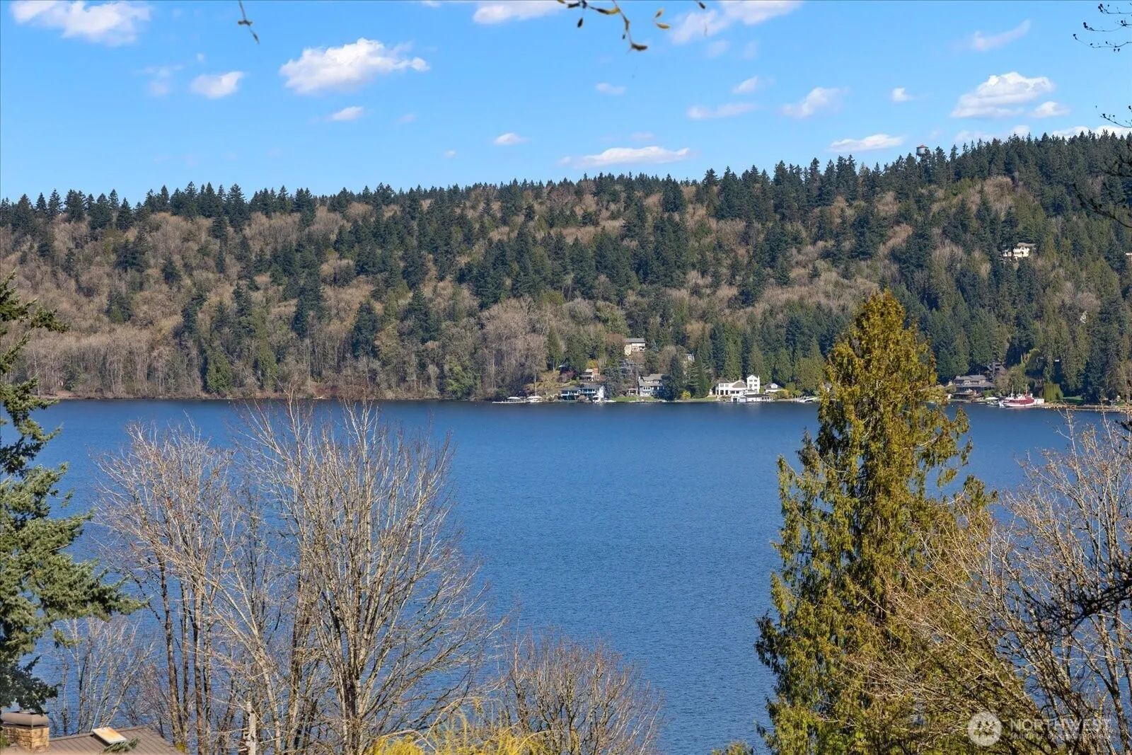 Property photo for 11904 Lakeside Avenue Ne, Seattle photo 2