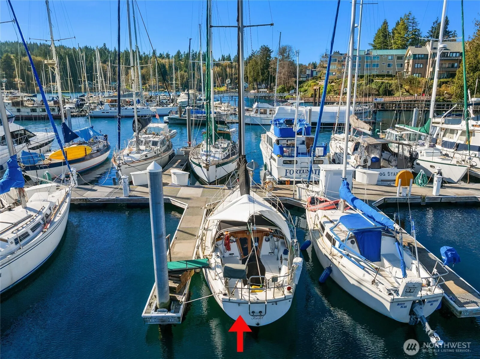Property photo for 141 Parfitt Way Sw #d31, Bainbridge Island photo 3