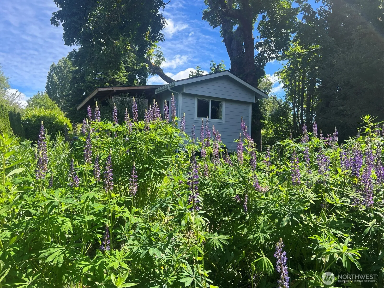 Property photo for 1555 Panorama Drive, Point Roberts photo 4