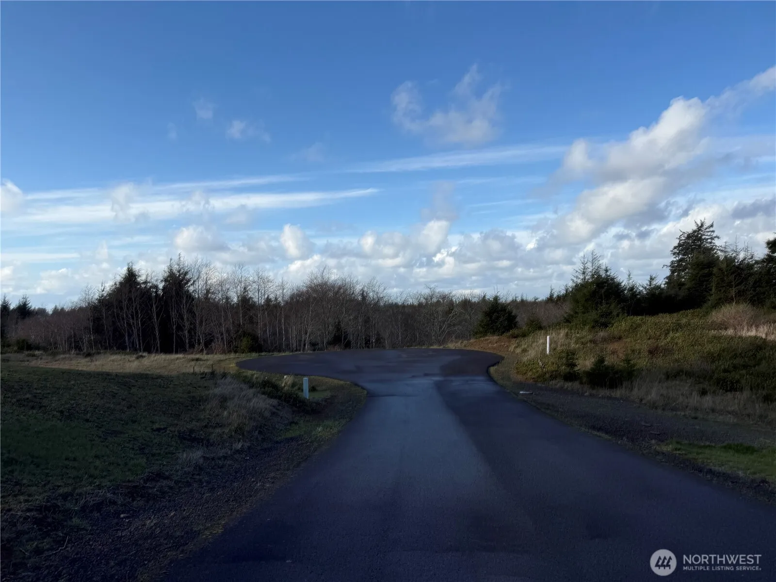 Property photo for 0 Lighthousekeepers Road, Ilwaco photo 2