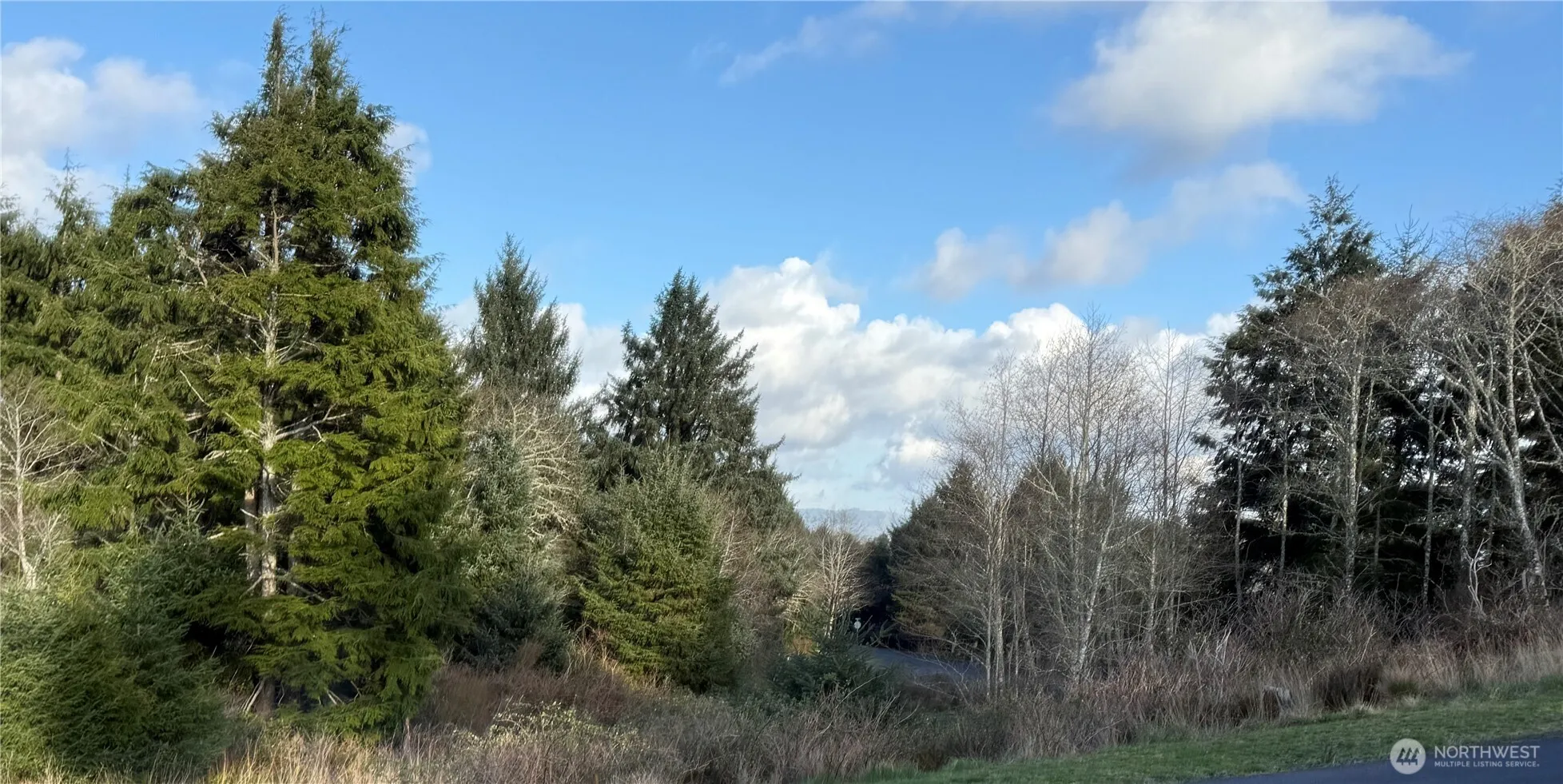 Property photo for 0 Lighthousekeepers Road, Ilwaco photo 4