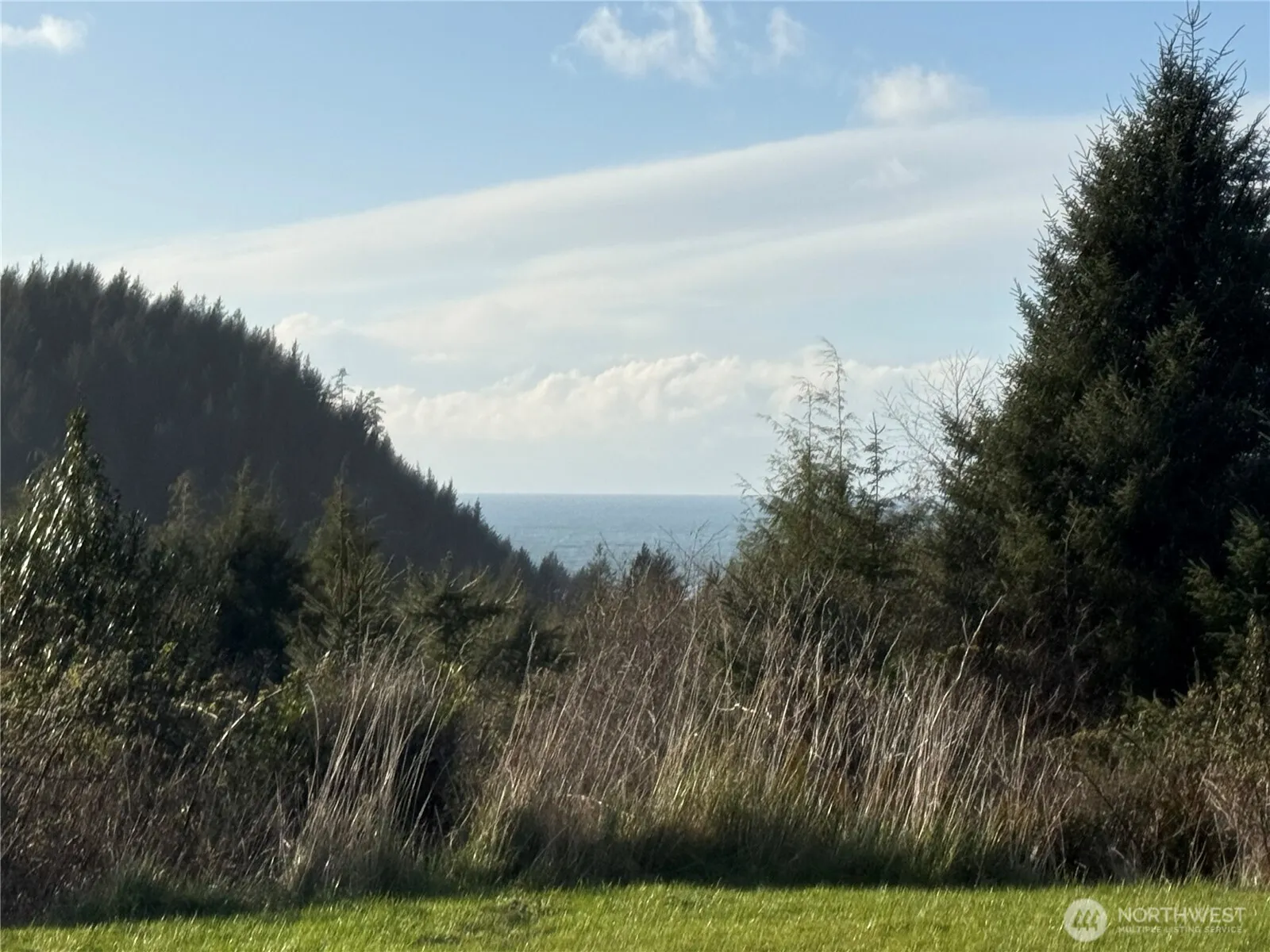 Property photo for 0 Lighthousekeepers Road, Ilwaco photo 5